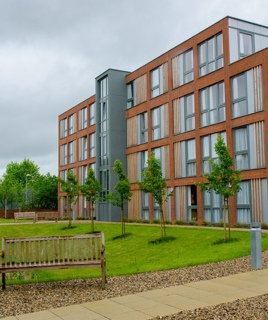 Oxford International College