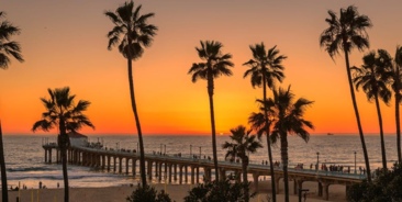 Surf Summer Camp