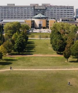 York University