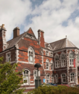 Griffith College