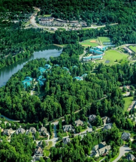 AHA International School