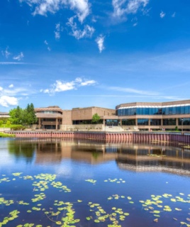 Lakehead University