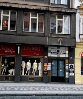 Prague Language Institute