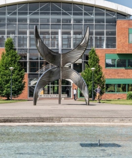University of Limerick