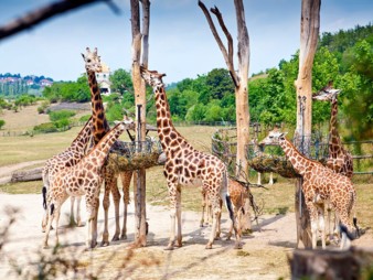 Zoo-Prague-min